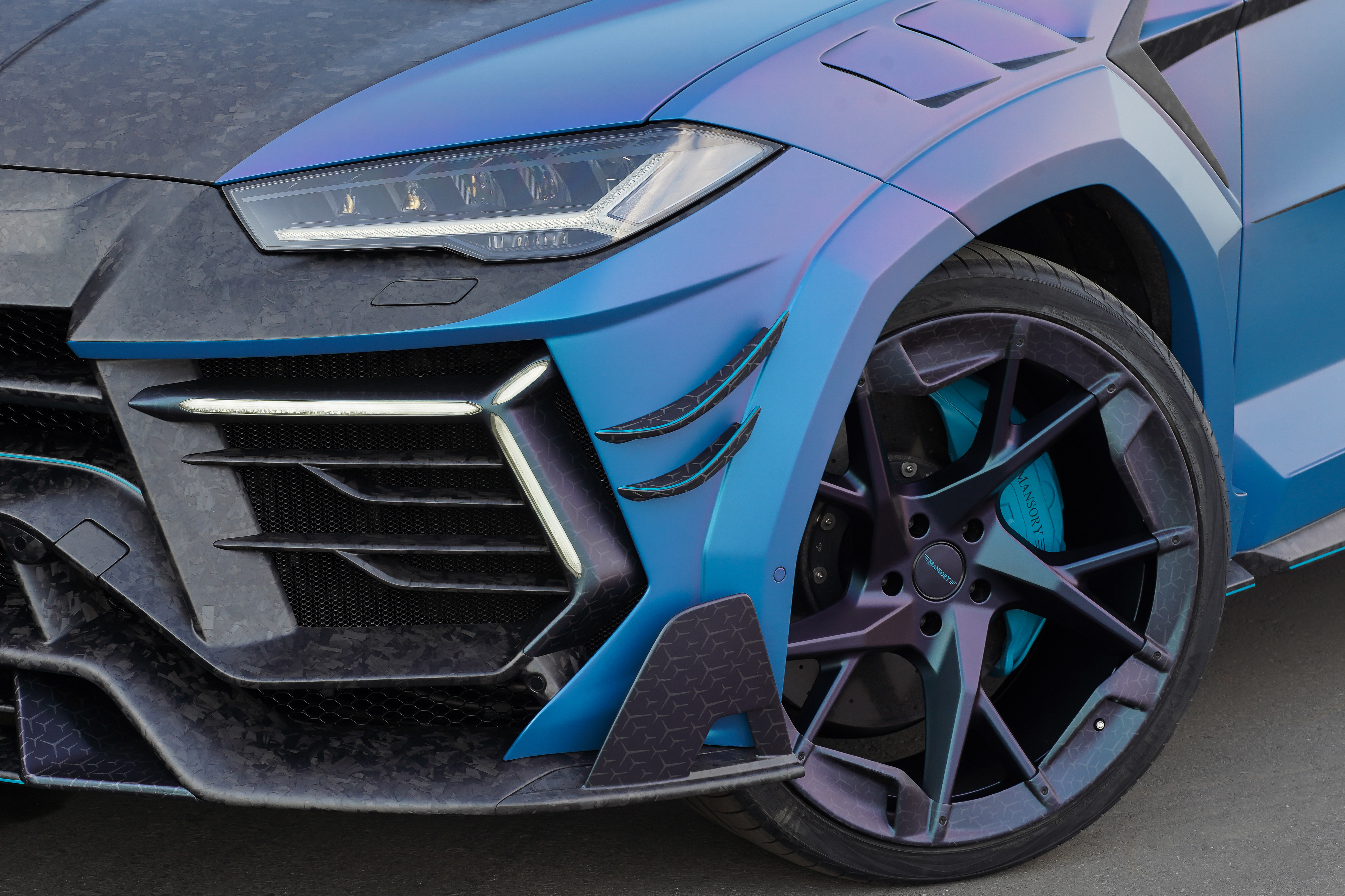mansory_venatus_coupe_35
