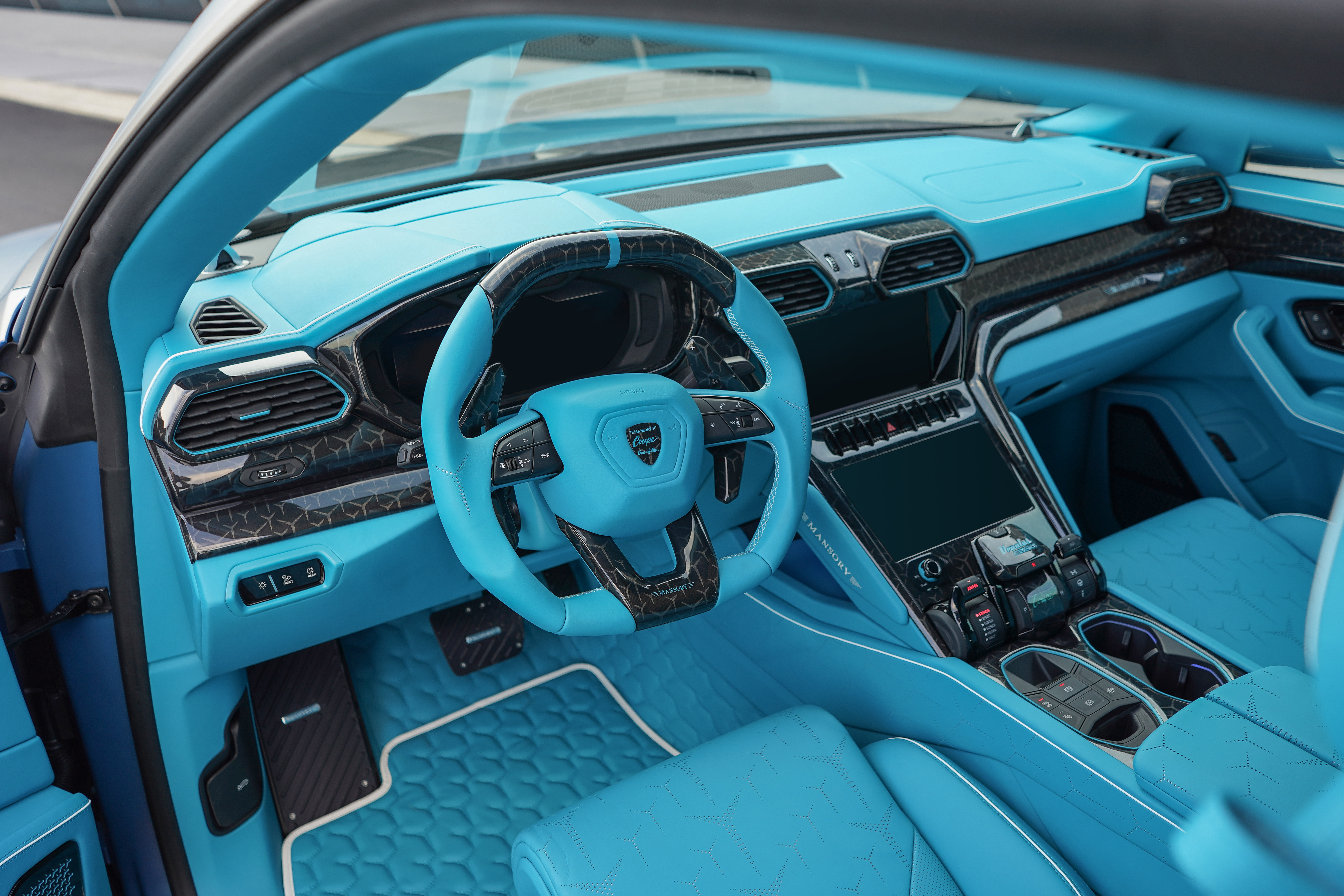 mansory_venatus_coupe_36