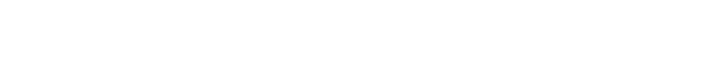 W Motion LLC